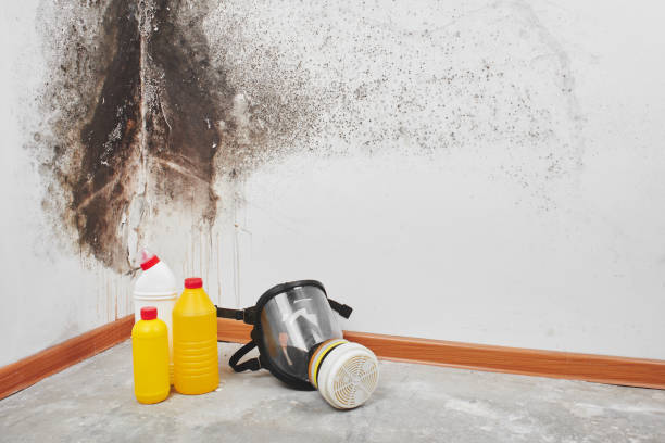 Best Mold Testing  in Lynnville, IN