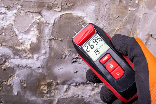 Best Mold Damage Repair  in Lynnville, IN