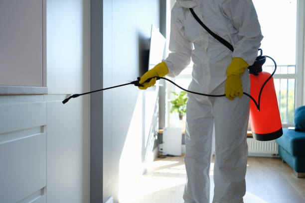 Best Local Mold Removal Service  in Lynnville, IN