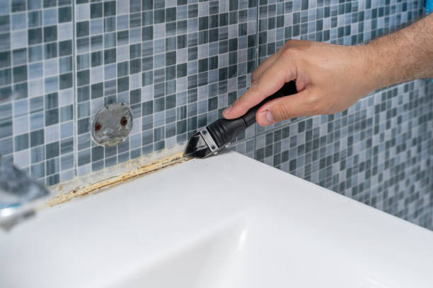 Best Residential Mold Removal  in Lynnville, IN