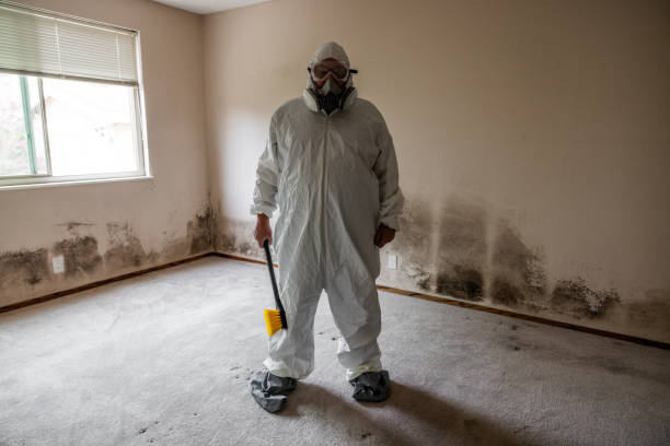 Home Mold Removal in Lynnville, IN